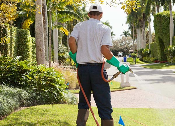 About East Alton IL Pest Control